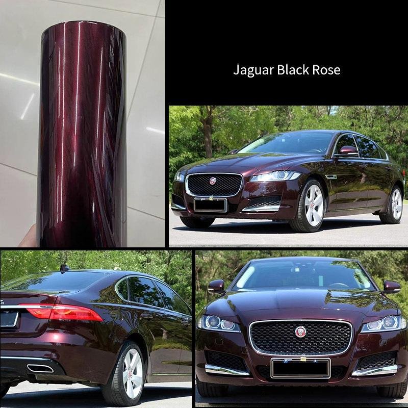 Jaguar-Black-Rose
