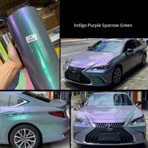 Indigo Purple Sparrow Green
